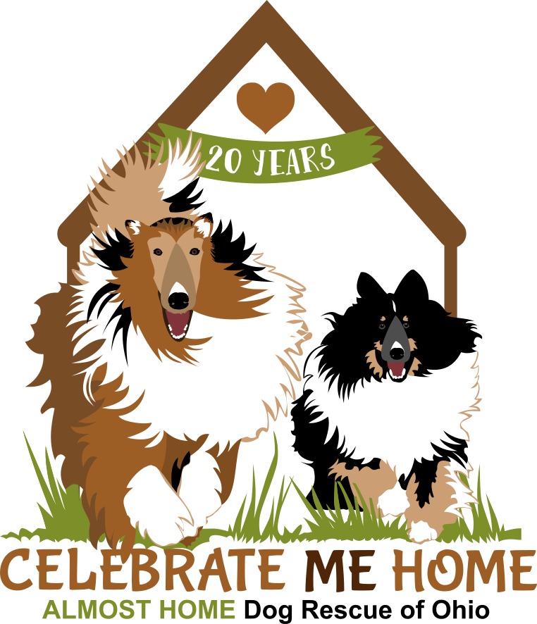 Adoptable Dogs Almost Home Dogs Canine Rescue Almost Home For