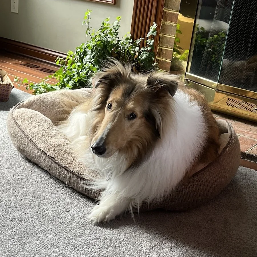 Fiona Grace 2 sq.jpeg