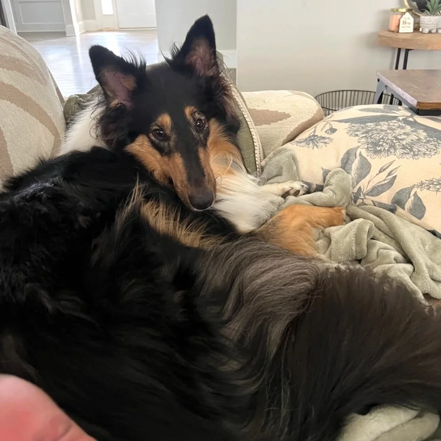 Stevie Nicks 1 sq.jpg