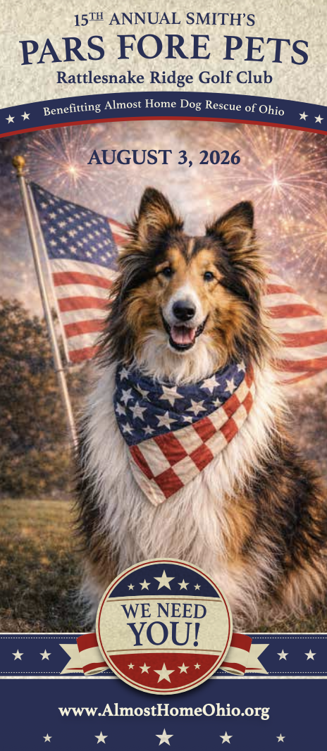 A Day of Community &amp; Canine Compassion