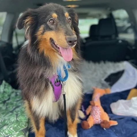 Bert 3 sq.jpeg