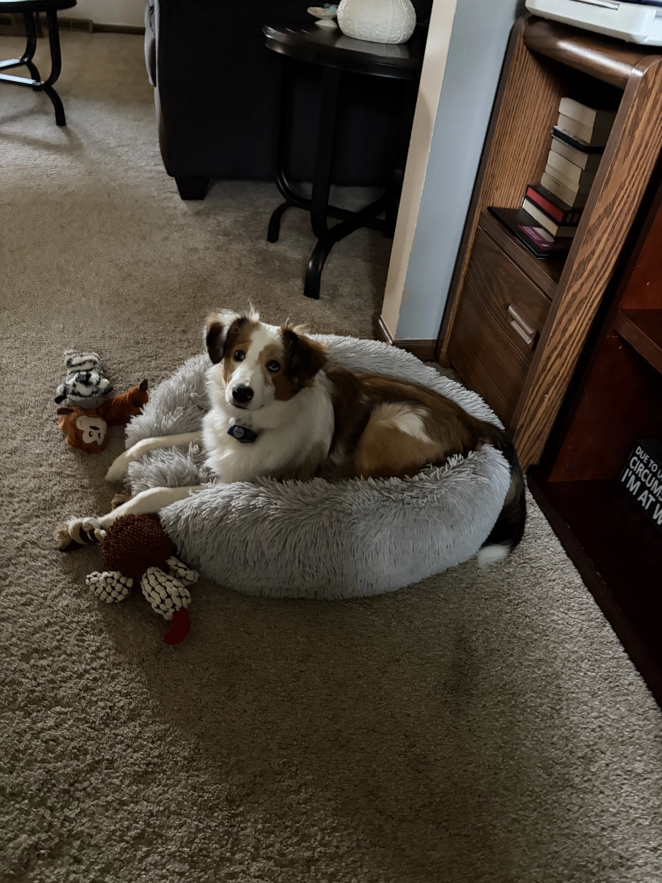 image1.jpeg