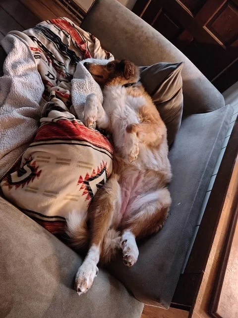 Lulu 1.JPG