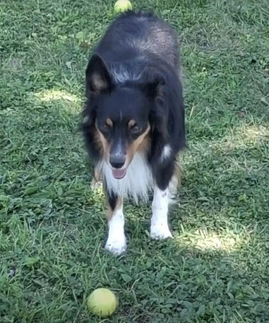 Smudge 1.jpg