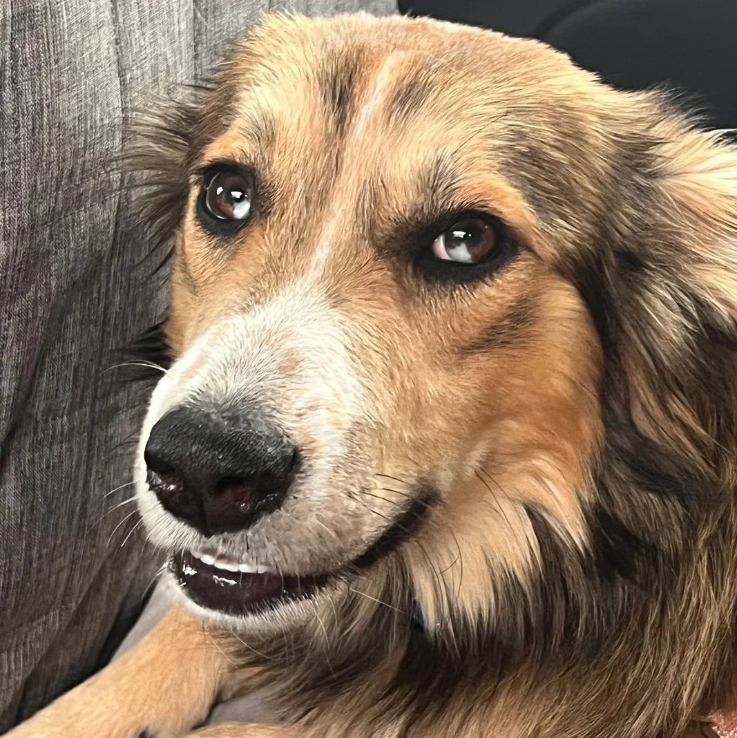 Maddie 5.jpg