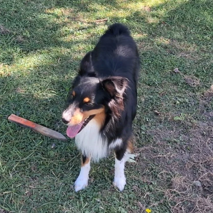 Smudge 3.jpg