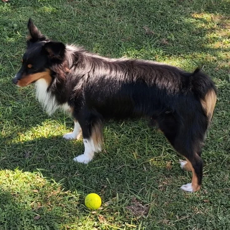 Smudge 2.jpg