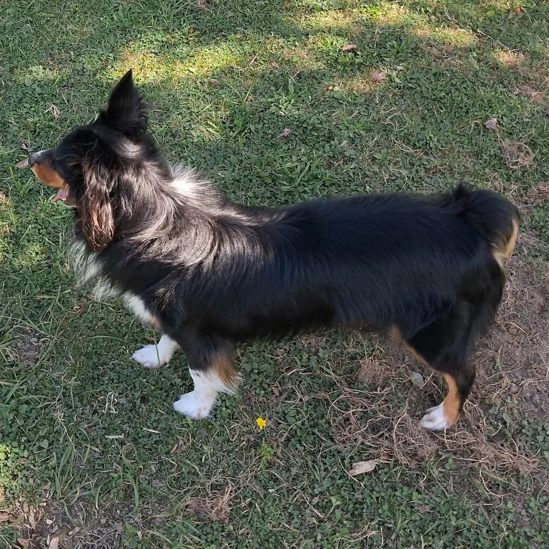 Smudge 4.jpg