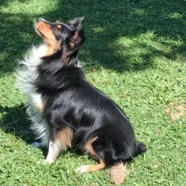 Smudge 5.jpg