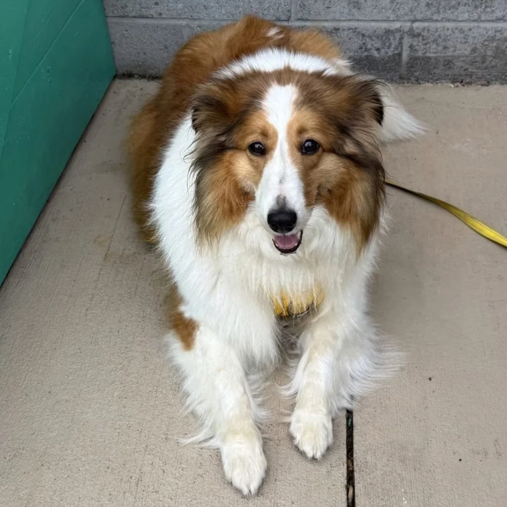 Sadie Grace 2 sq.jpg