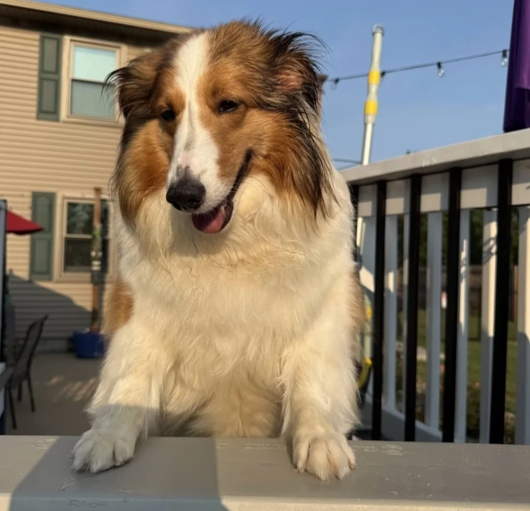 Sadie Grace 1 sq.jpg