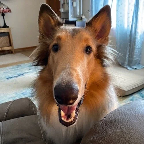 Bowie