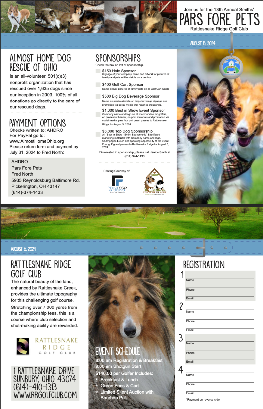 Rehoming Centre Dog Puppy Rescue Near Me Rspca Dogs Pets In