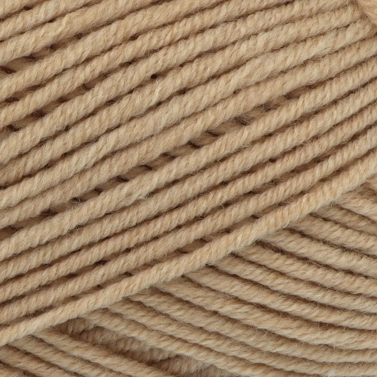 2786764_1.webp
