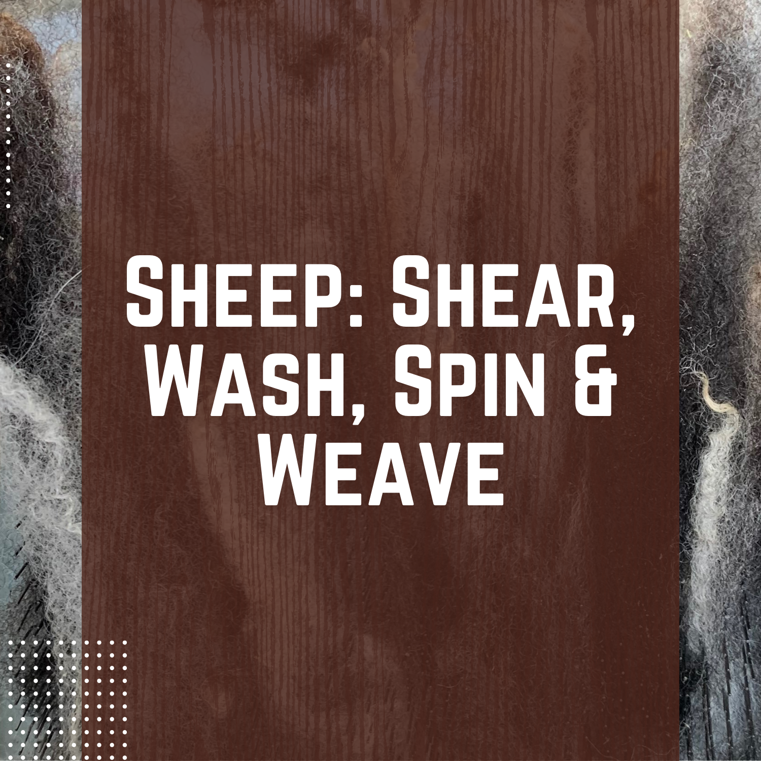 Sheep: Shear, Wash, Spin & Weave 