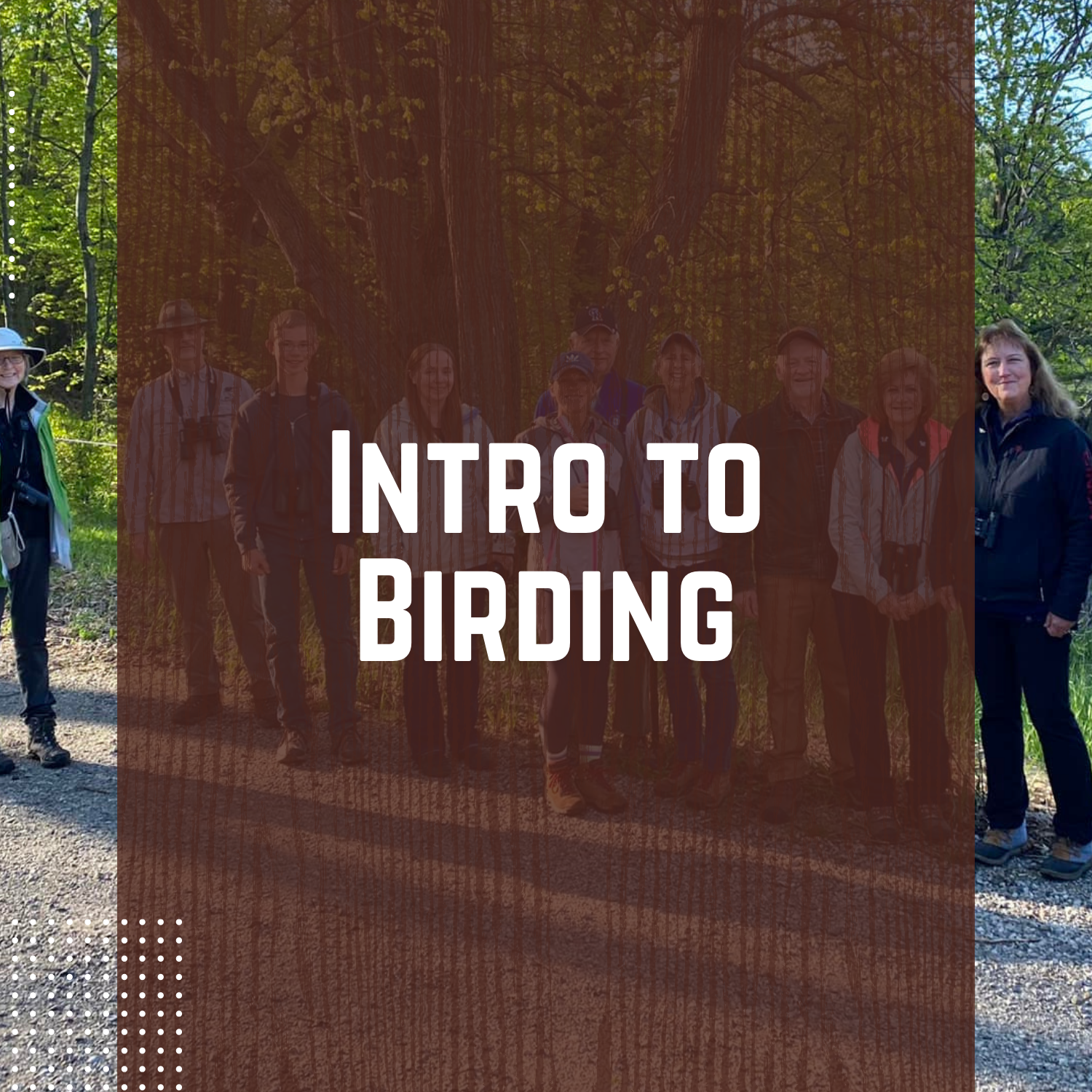 Intro to Birding