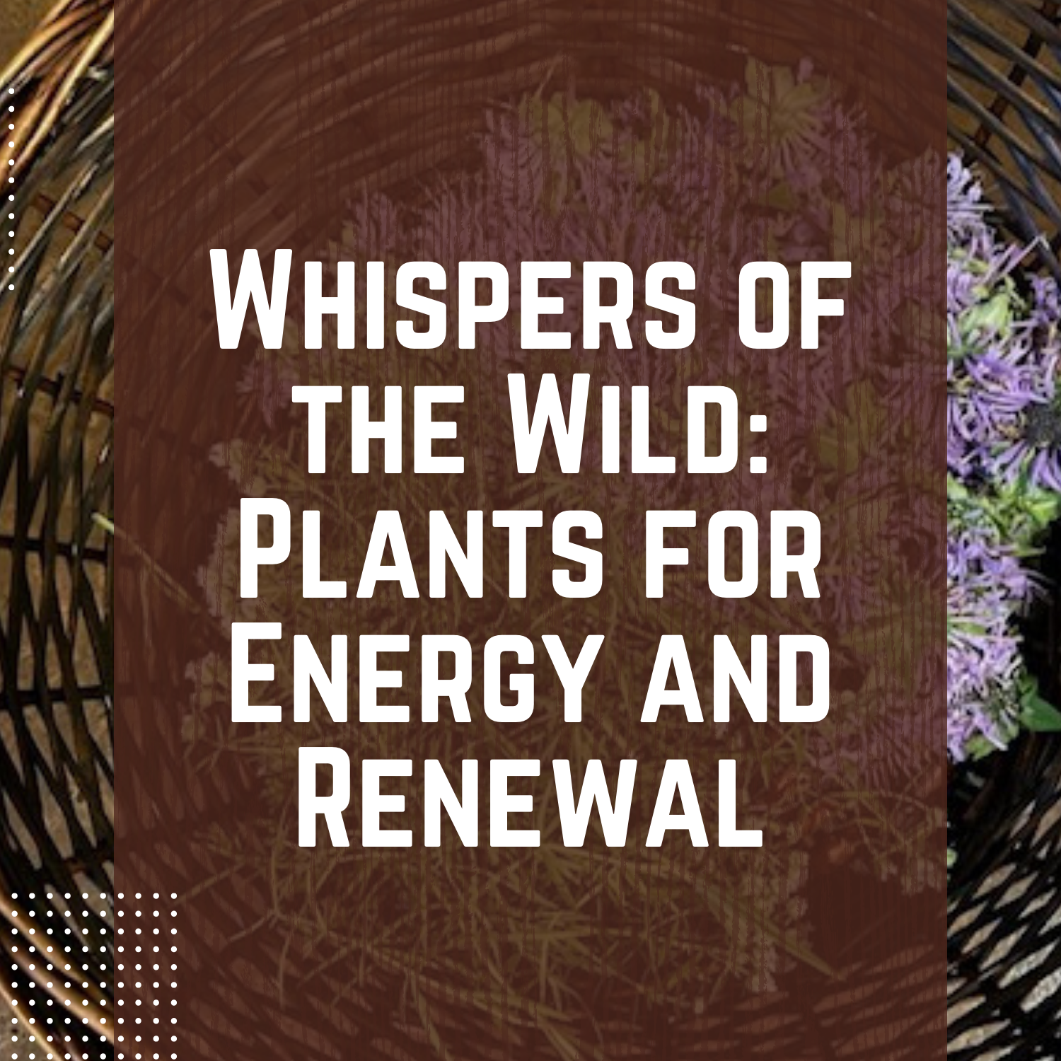 Whispers of the Wild: Plants for Energy and Renewal