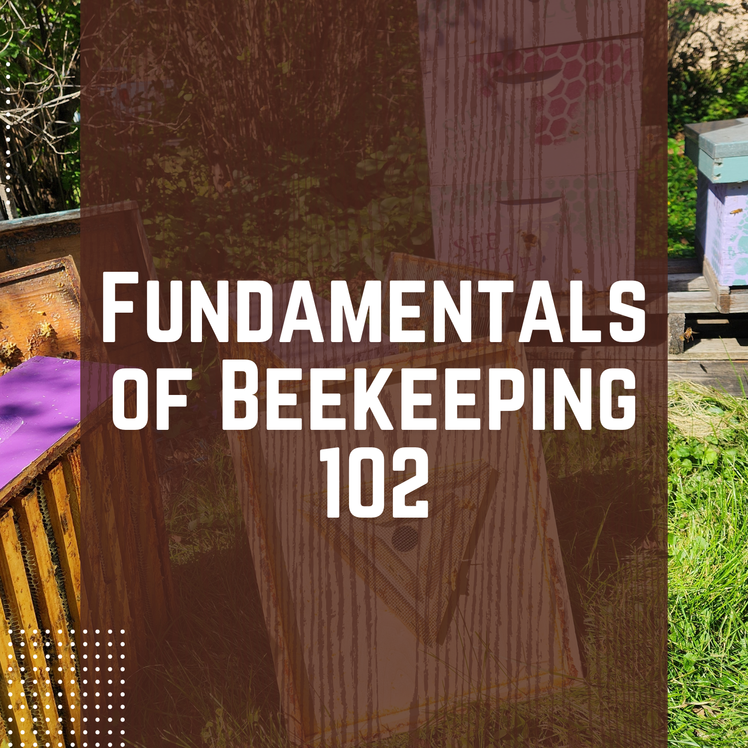 Fundamentals of Beekeeping 102