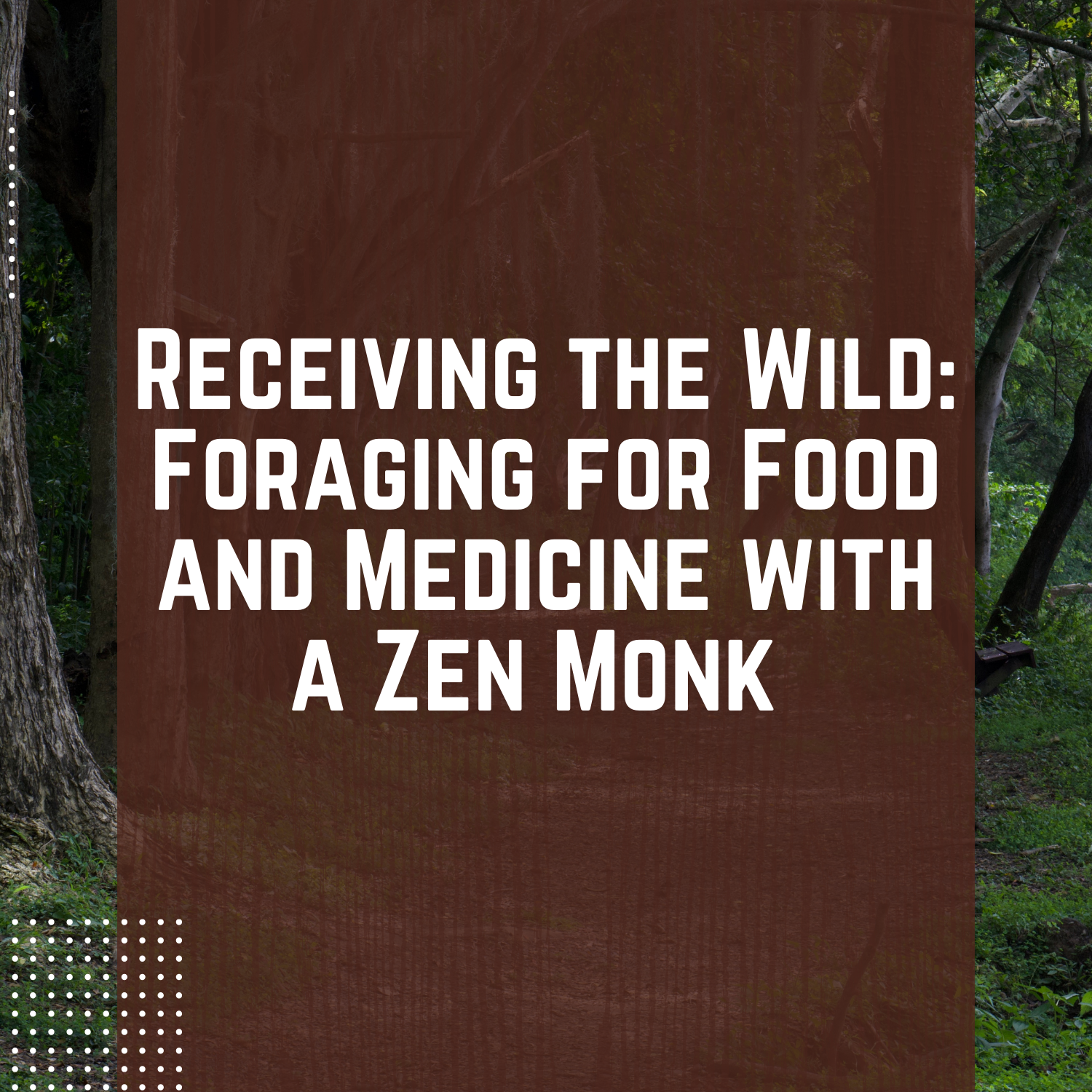 Receiving the Wild: Foraging for Food and Medicine with a Zen Monk 