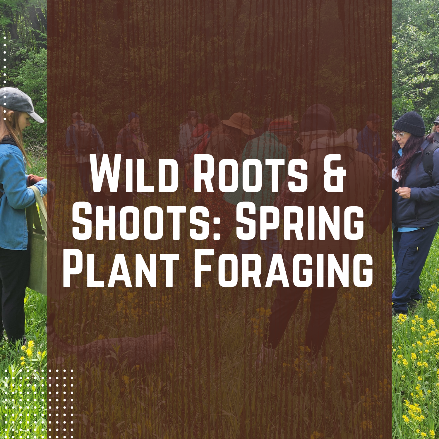 Wild Roots & Shoots: Spring Plant Foraging