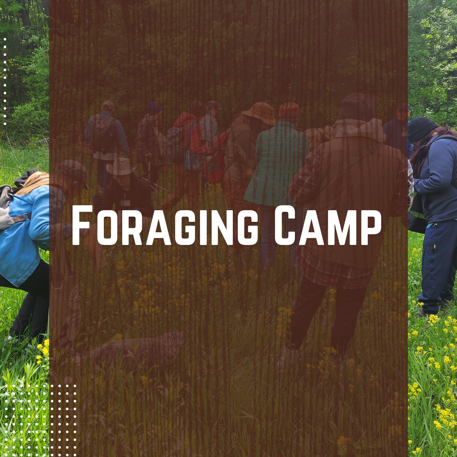 Foraging Camp