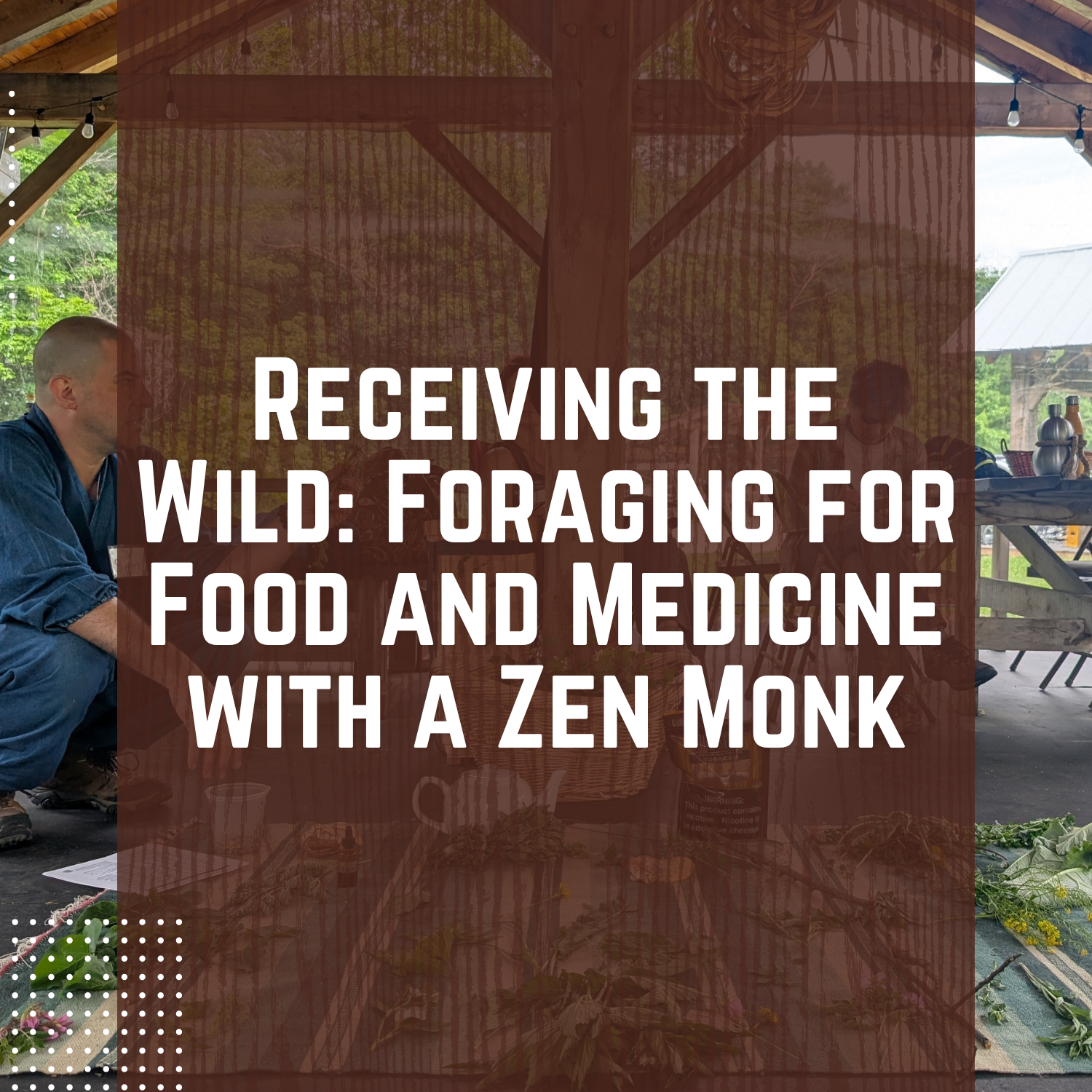 Receiving the Wild: Foraging for Food and Medicine with a Zen Monk