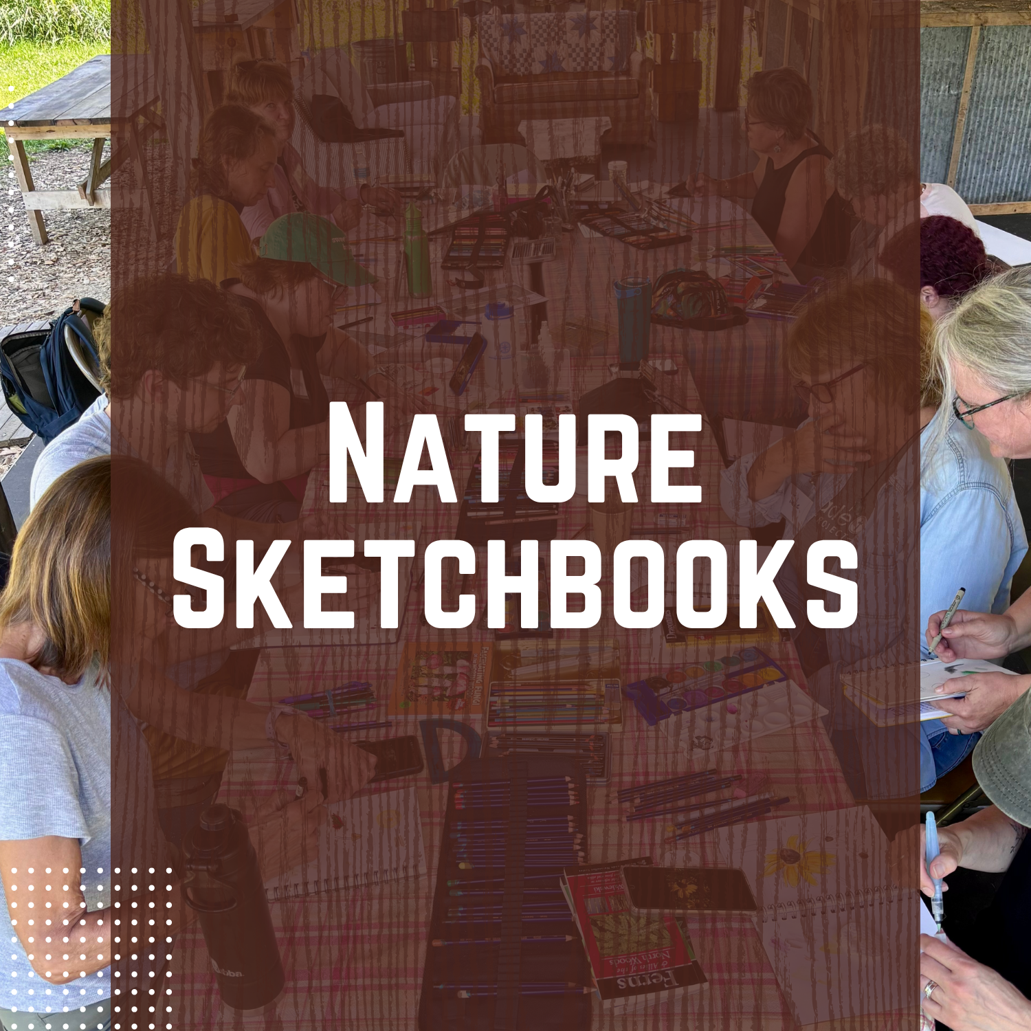 Nature Sketchbooks