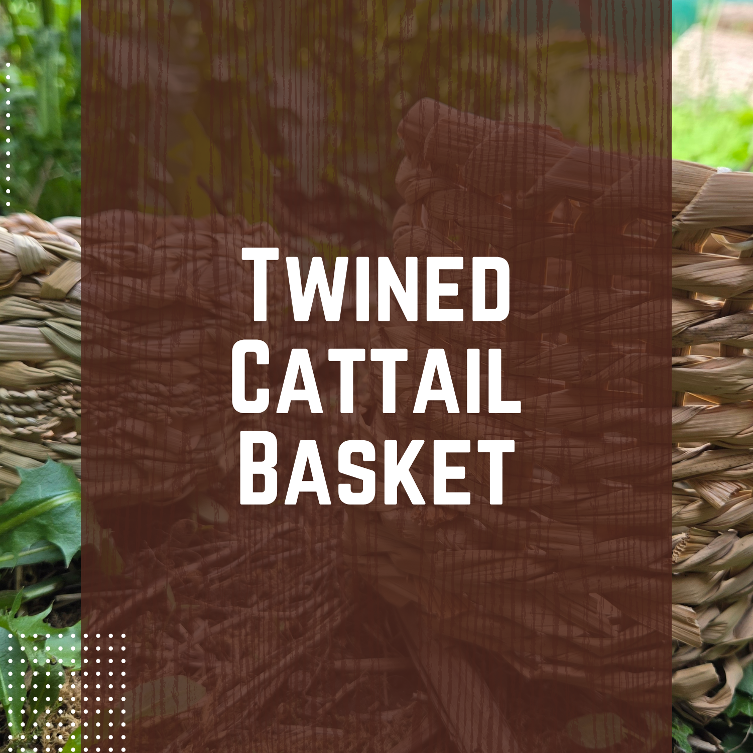 Twined Cattail Basket