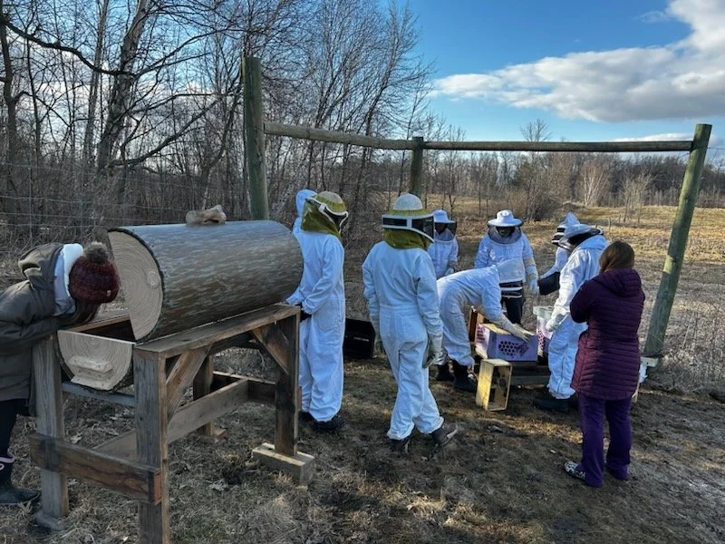 Copy of IMG_0939.JPEG