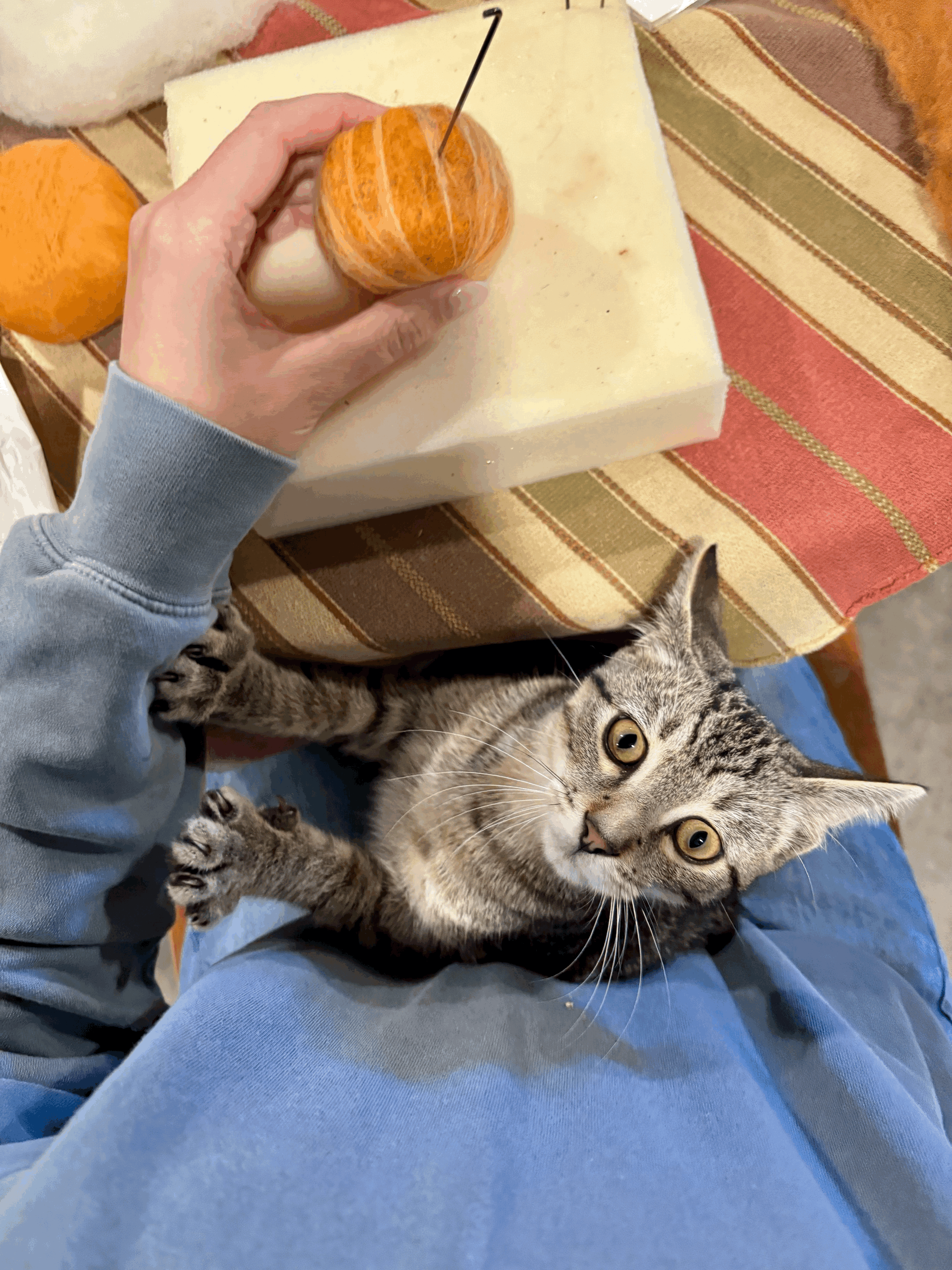 tempImagepsZLgx.gif