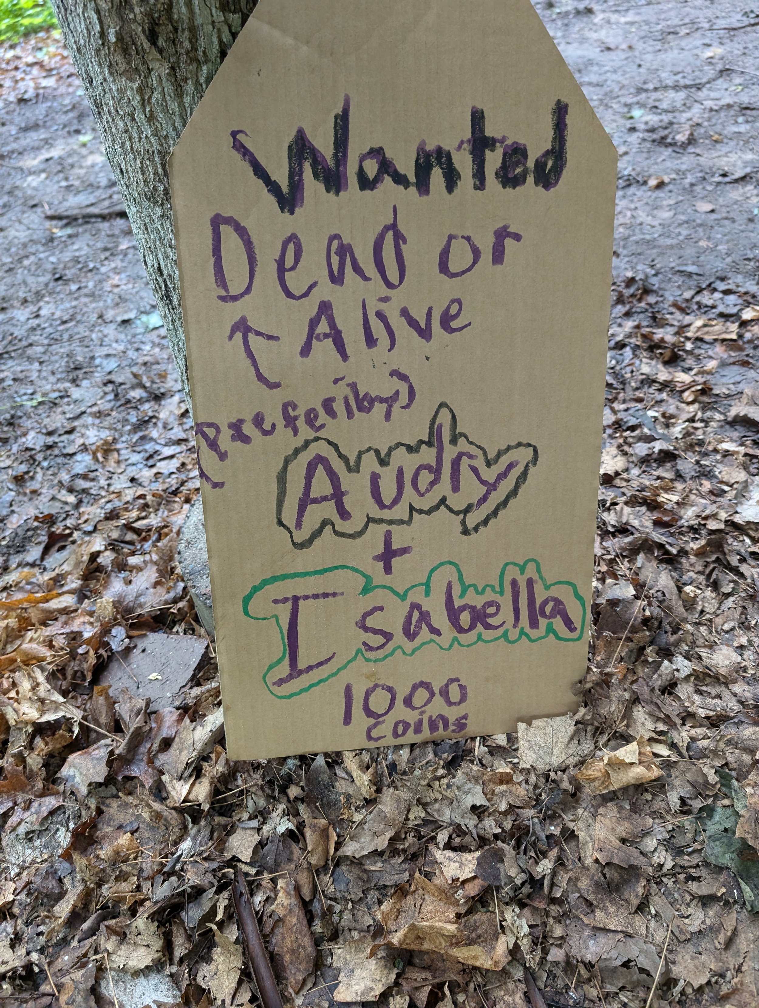 Copy of dead or alive.jpg