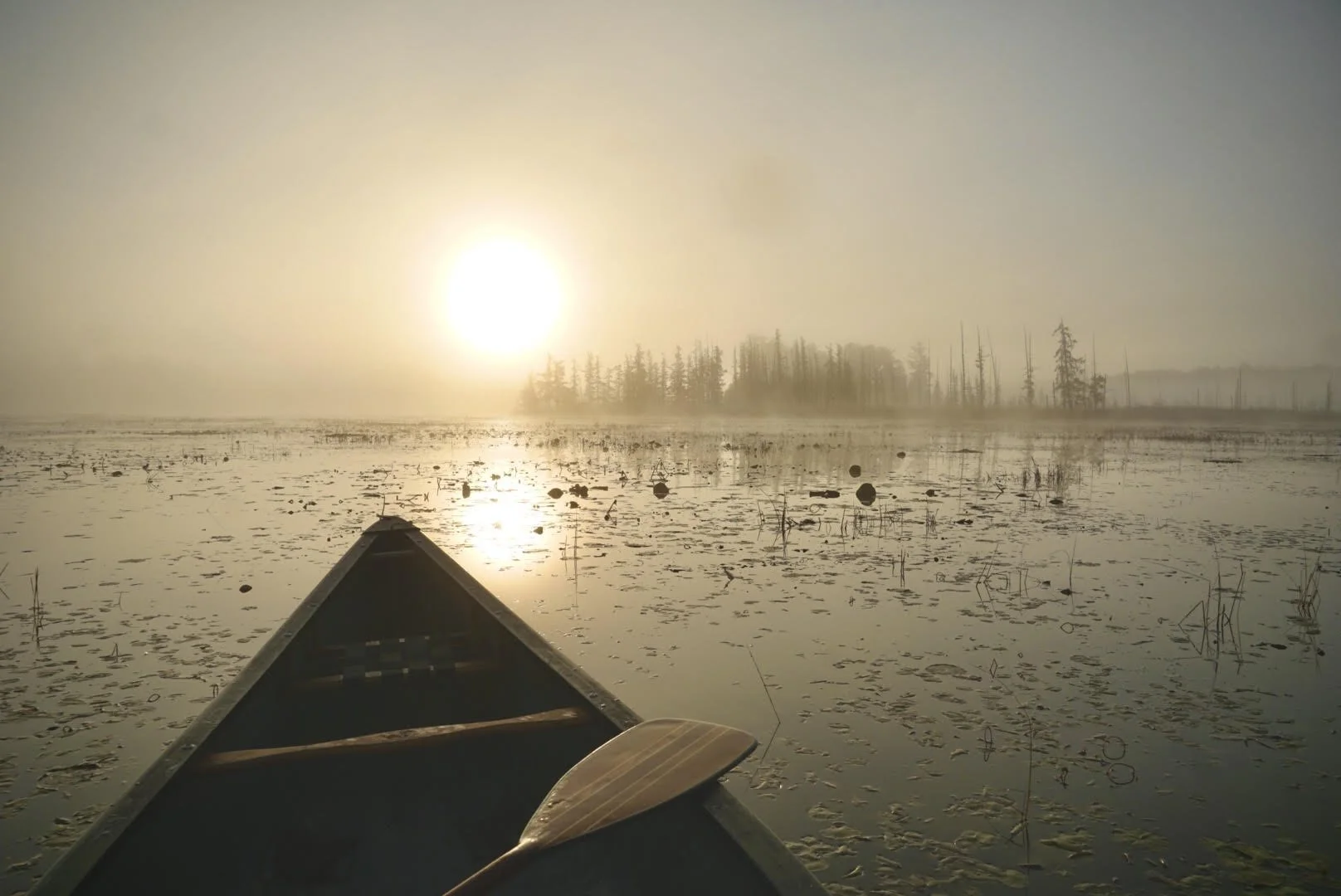 Canoe Sunrise.jpg