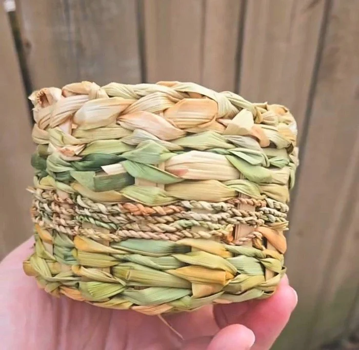 1000009157.jpg