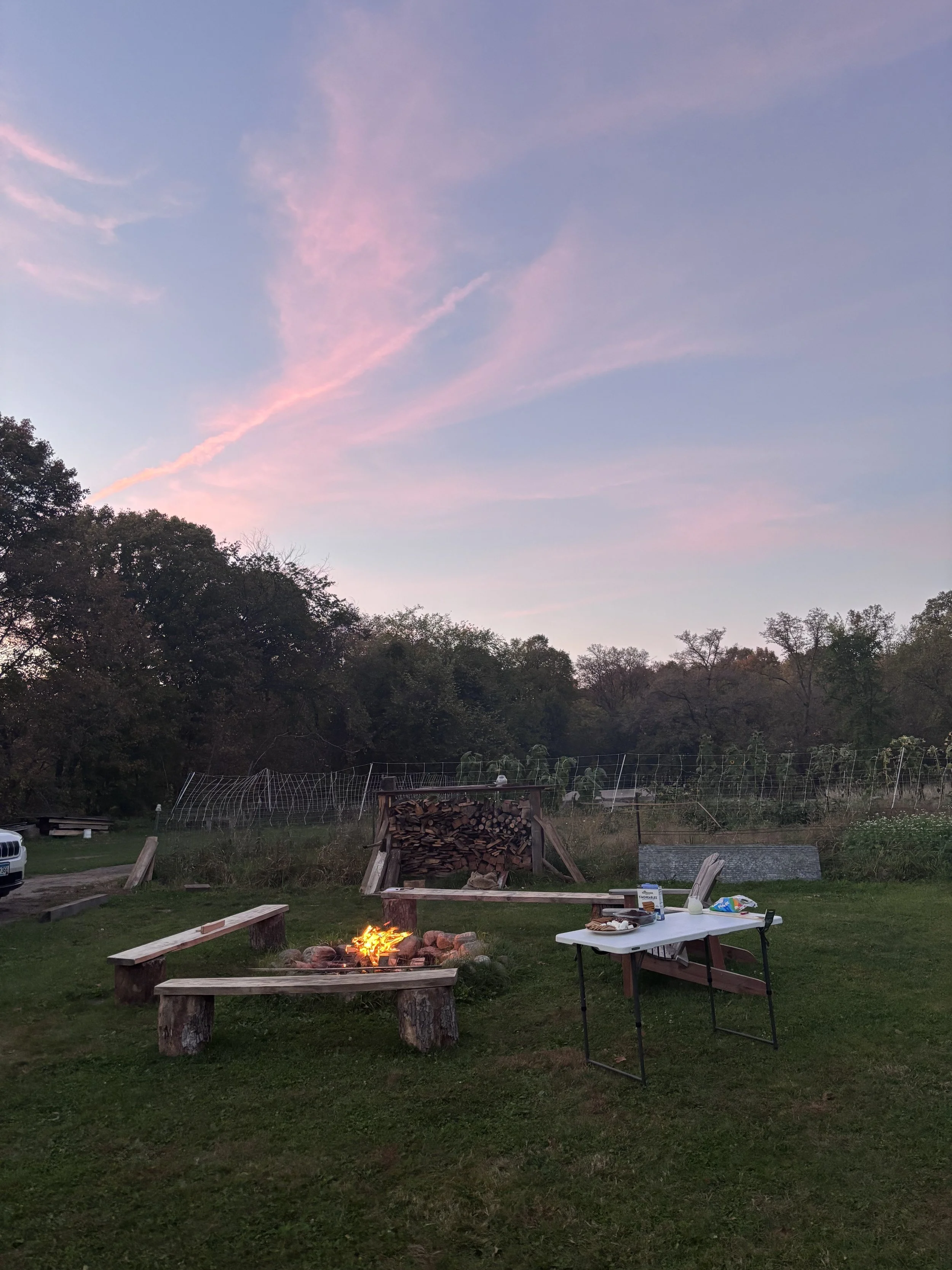 The Porchlight Collective: New Moon Forest Retreat - August 14, 2026