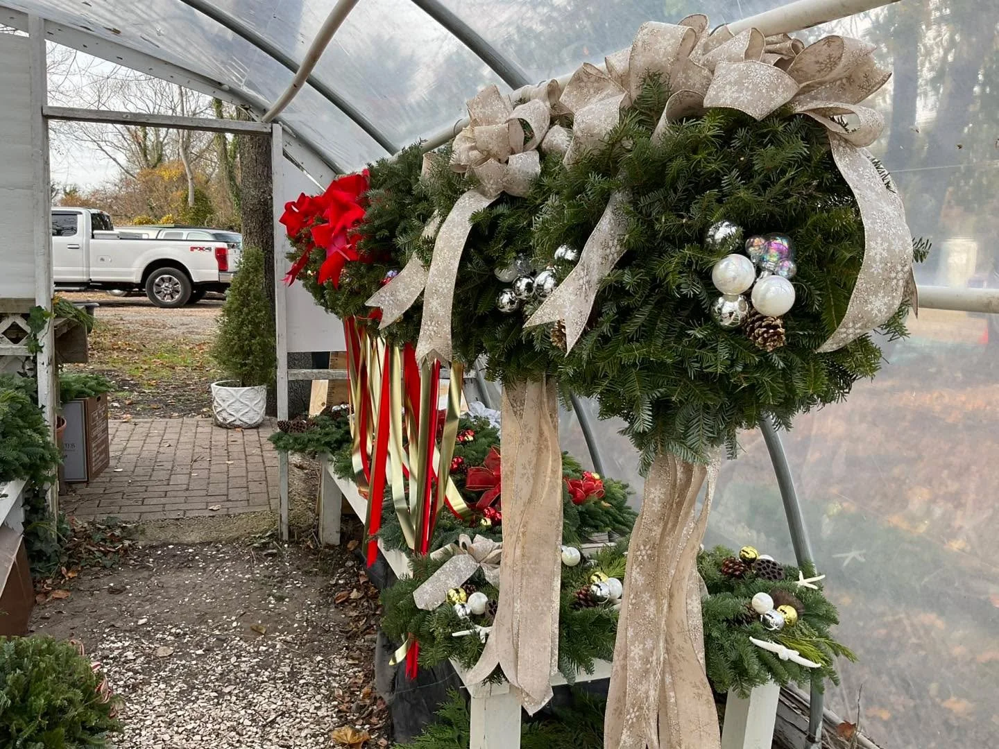 Cape Island Gardens Trees-wreaths-roping -gnomes-fresh greens Ready for your decorating needs. #christmasdecorating #christmasdecor #Christmas #trees #christmastree #christmastreedecor #christmastreeshop