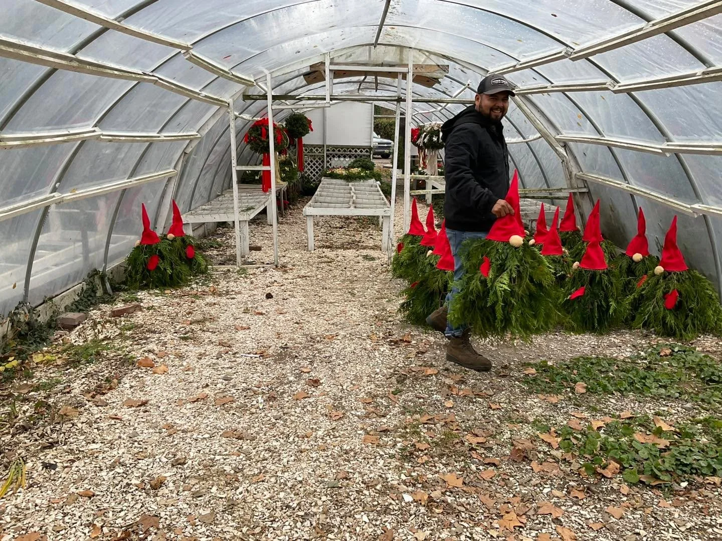 Cape island Gardens The Gnomes have arrived. #gnomes #gnomesweetgnome #gnomesrule #gnomesgnomesgnomes #gnomesmarket #GnomeStyle #gnomesvsknights #gnomesoffacebook #gnomesville