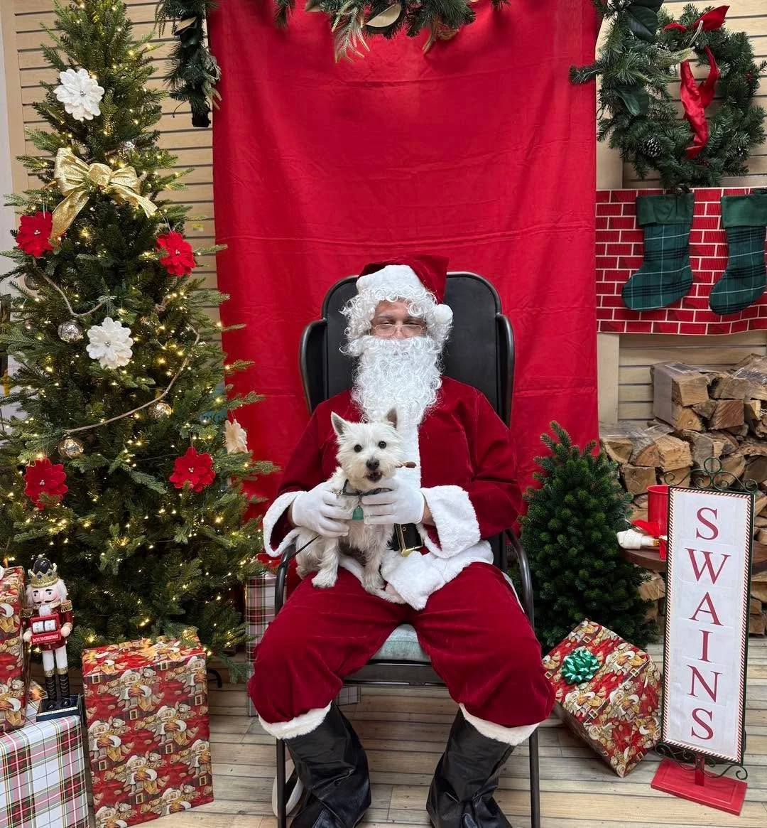 Furry Friends of Cape Island Gardens Lily from Cape Island Gardens went to Swain&rsquo;s today to visit Santa. Come and see our Gnomes-wreaths-Trees and say hello to Lily. #santawithpuppies #Christmas #christmasdecorating #christmas2025 #christmasbak