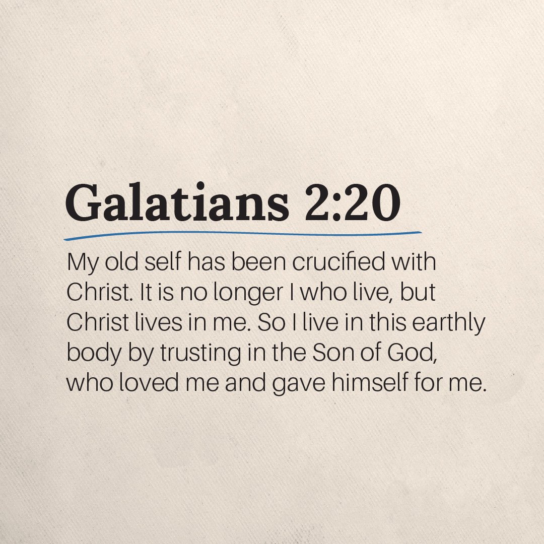 Trust in the Lord today for life abundantly.