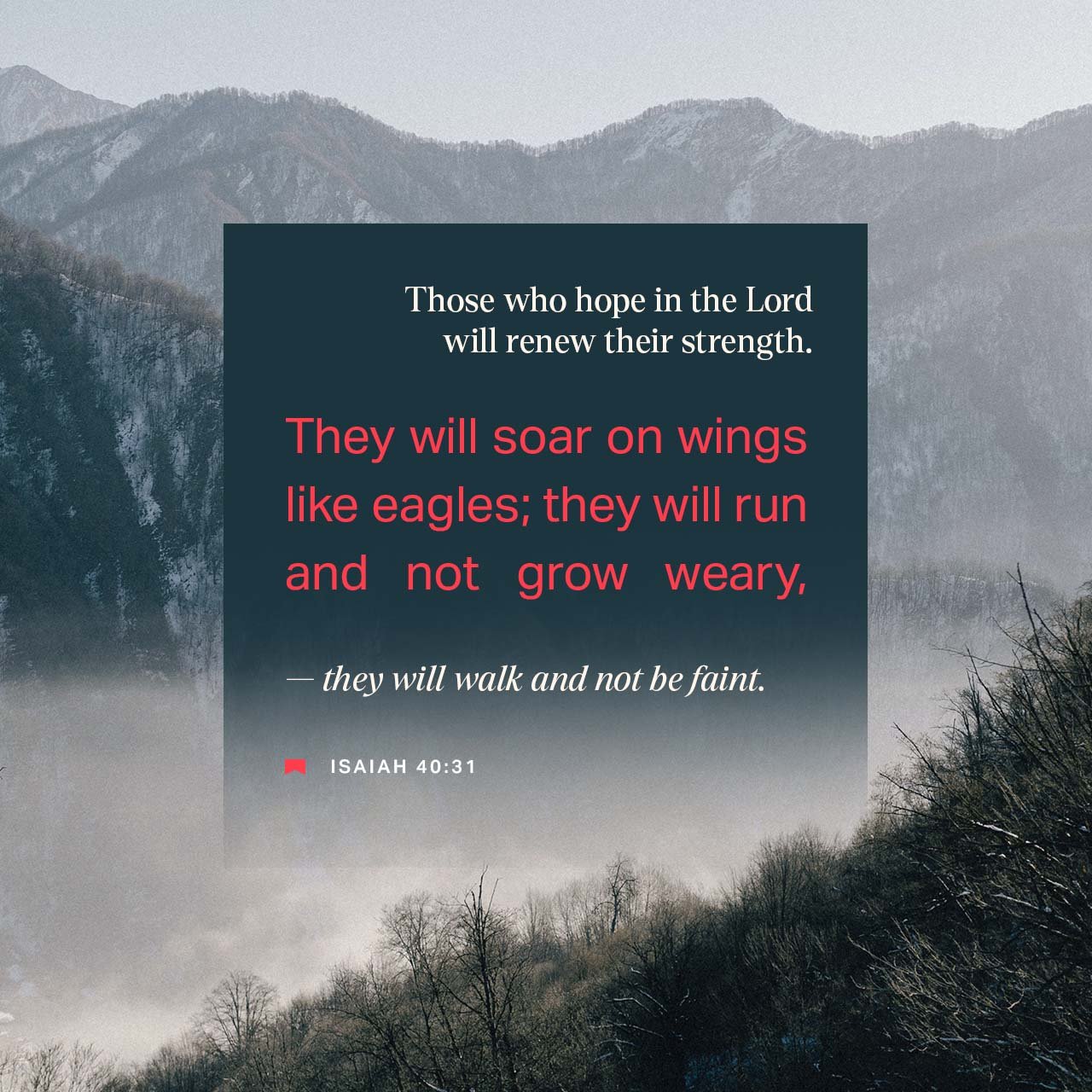 Hope in the Lord sends us soaring!