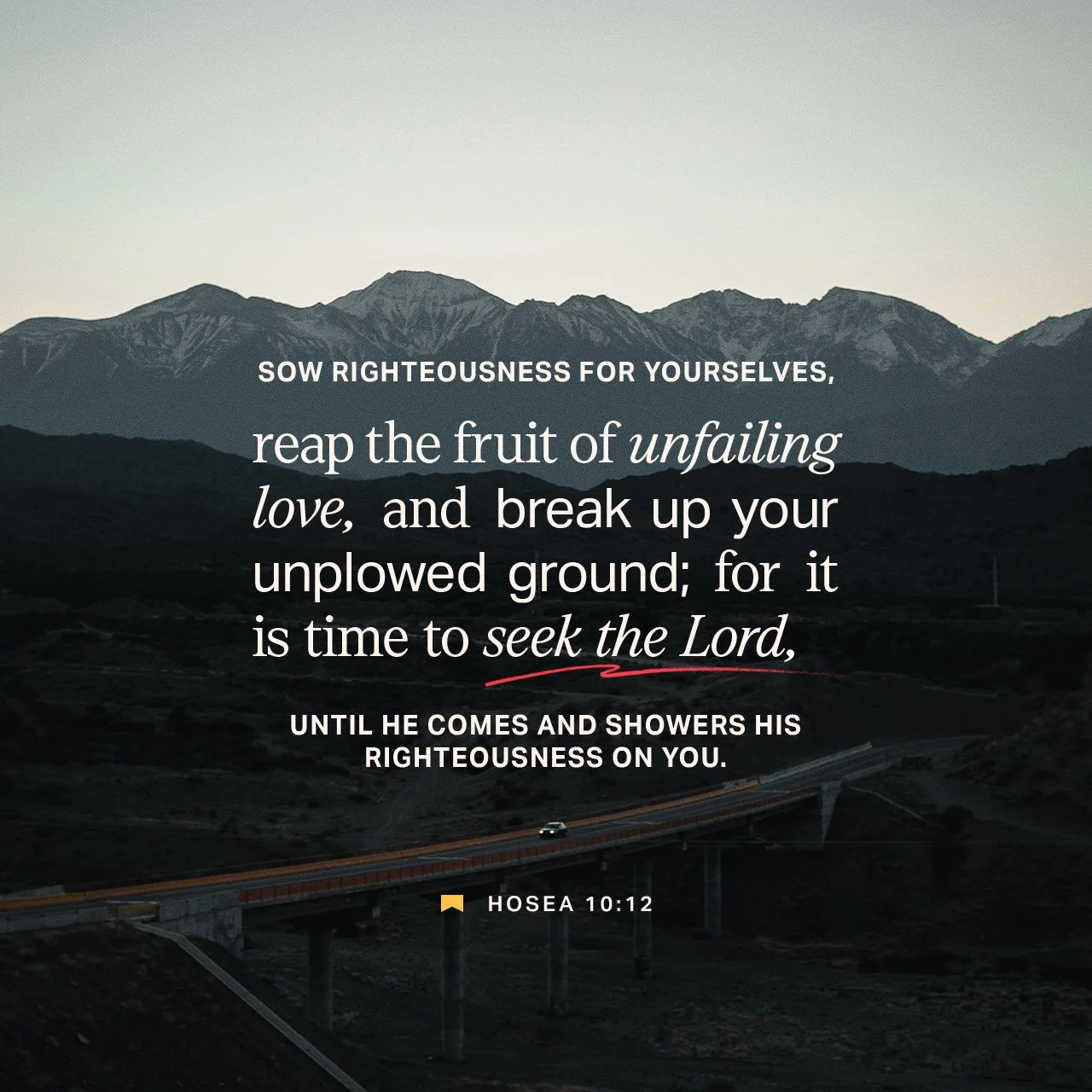 It's time to seek the Lord!  What could happen in your life if you bought into those words today?