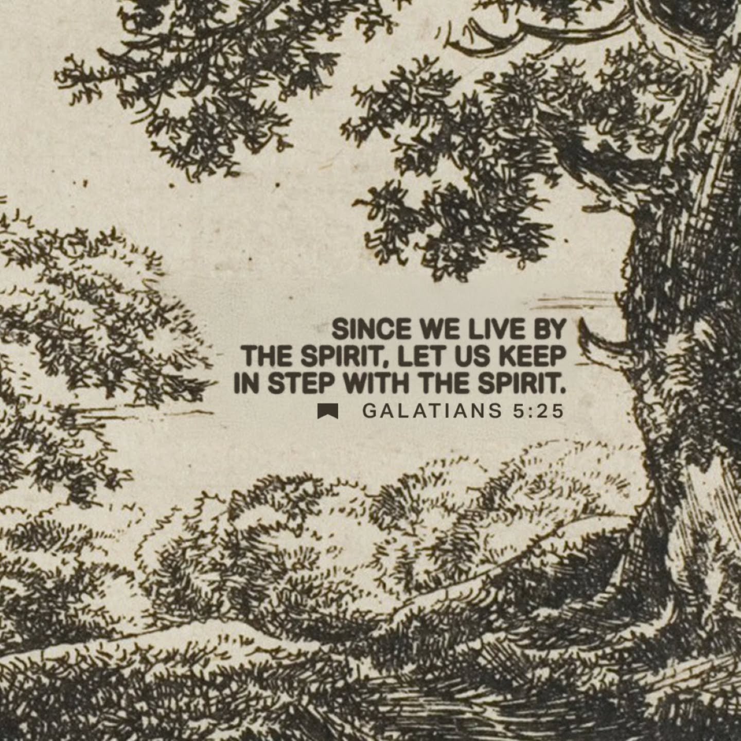 We have the Advocate, the Holy Spirit to help us along in life- are you thankful for the Spirit today?