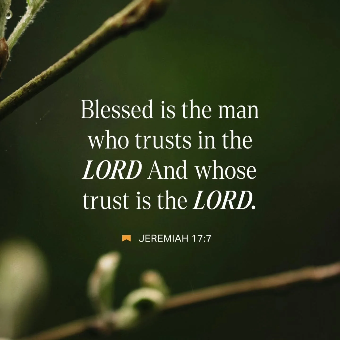 To walk in this truth will change how you live...it's not just trusting IN the Lord but to have complete surrender and let Him Lord over your life.