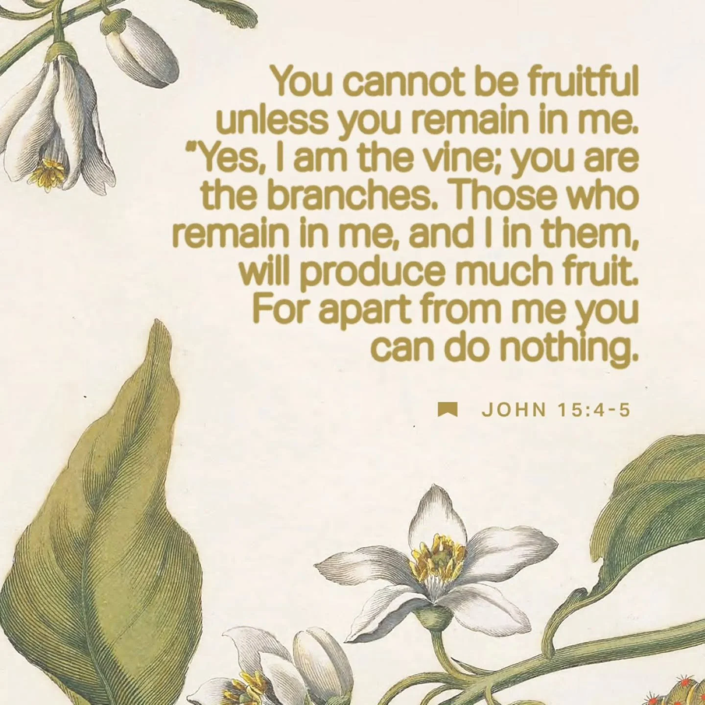 Our connection to God will be evident in the fruits produced in our lives. When you draw near to Him, the outflow will be fruitful- peace, joy, love, patience, kindness.... But seperated from God, you'll see no fruit.