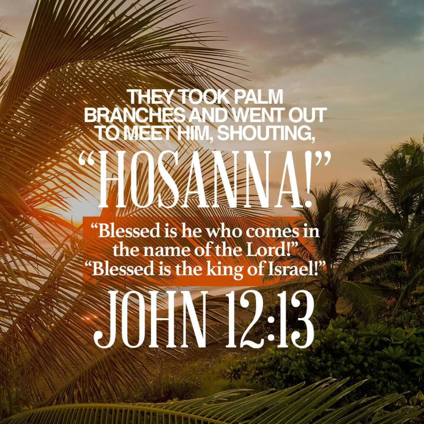 On Palm Sunday the people were shouting "Hosanna!' But by Good Friday they were saying otherwise. As you enter into this Holy week consider how you view Jesus and His reign... is He truly Lord over your life... all the time? Even when life is di