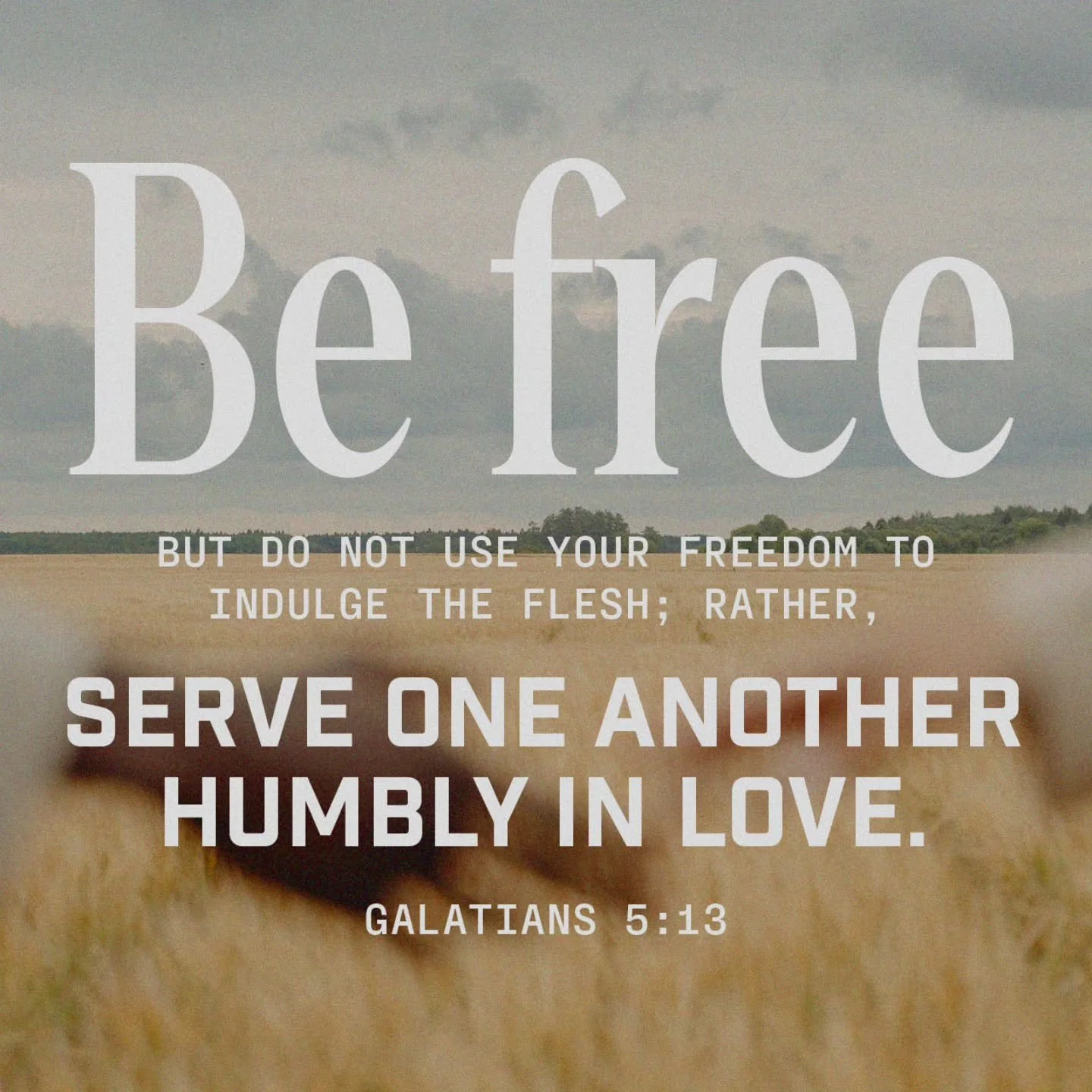 What would it look like to take the freedom you have in Christ and use it to serve others well right where God has you... even in that job you're not happy with or that co-worker who lives differently than you or the child you're struggling to get al