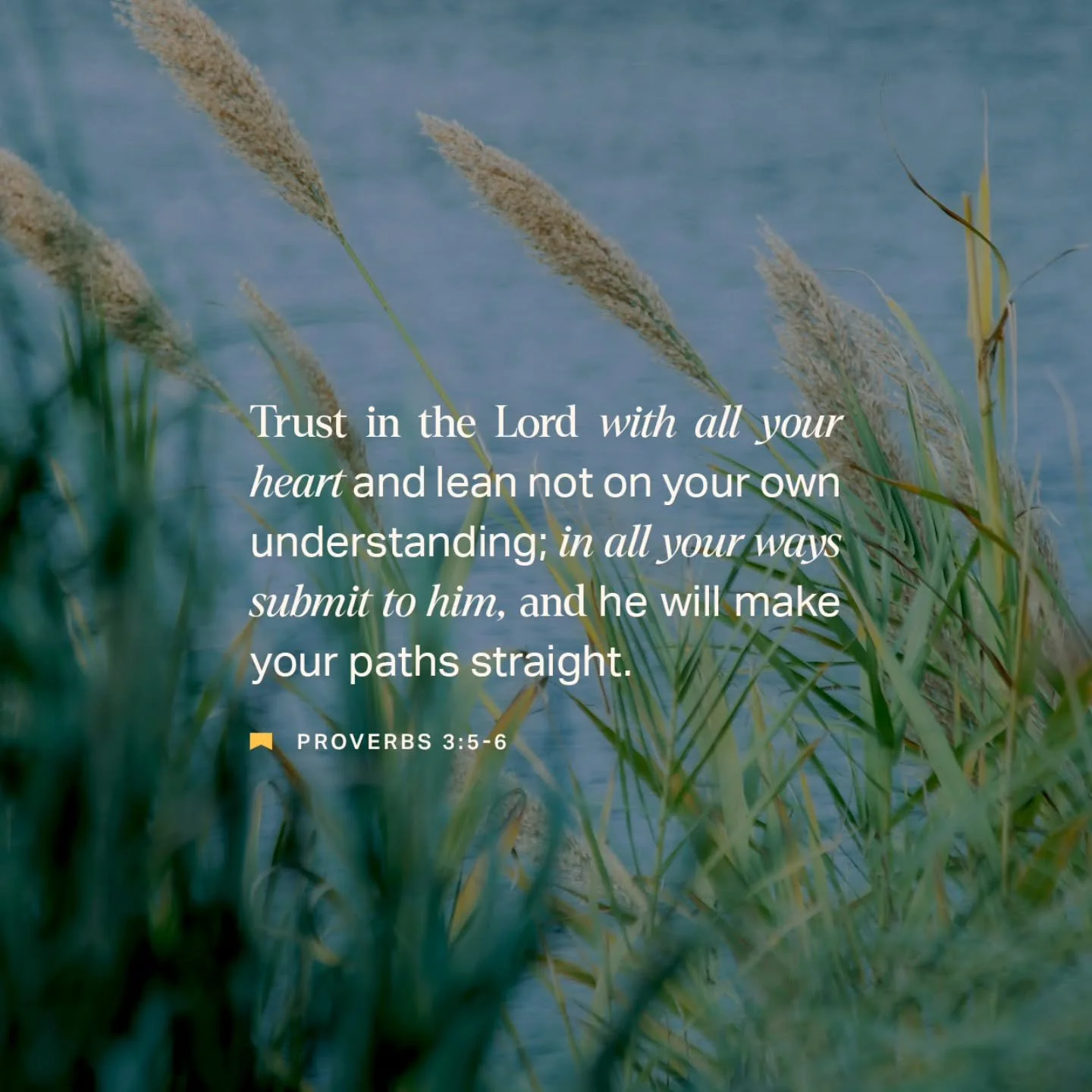 Not sure about you but I definitely don't want to lean on my own understanding- we need Jesus in everything we do! Trust really is a beautiful thing...