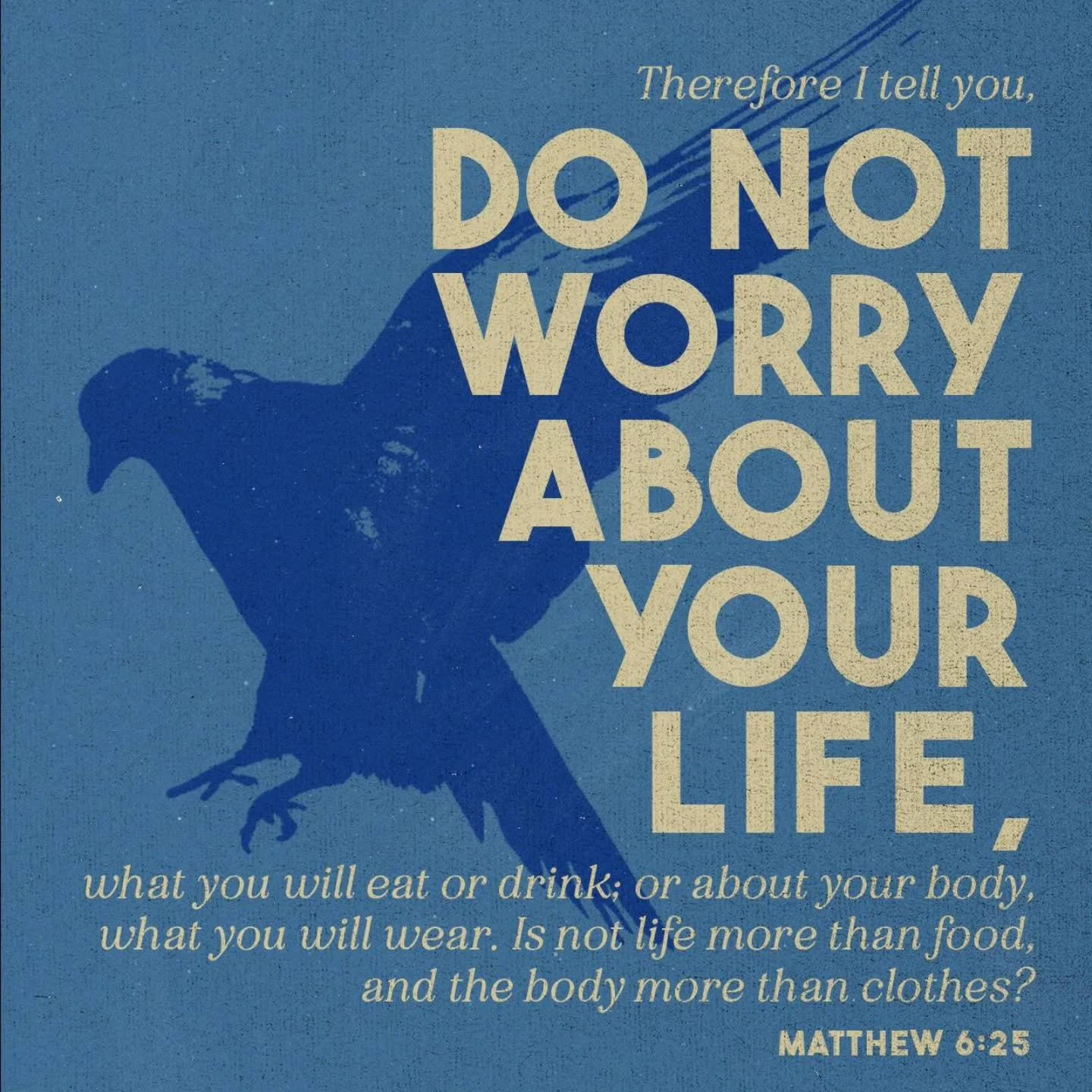 Look at the birds.... God cares for them and yet how much more does He love us than them?