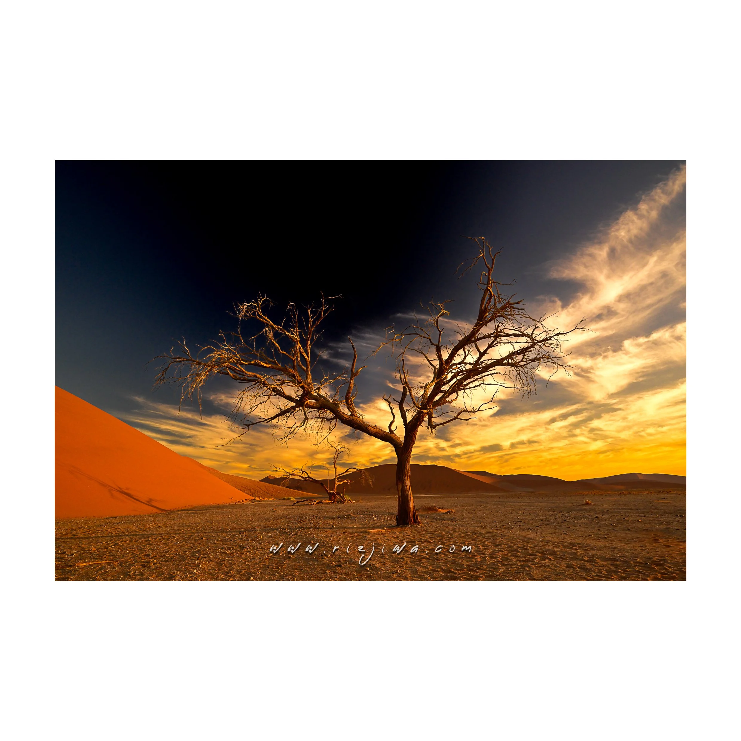 A barren, leafless tree standing in a desert landscape during sunset with dark sky and sand dunes in the background.