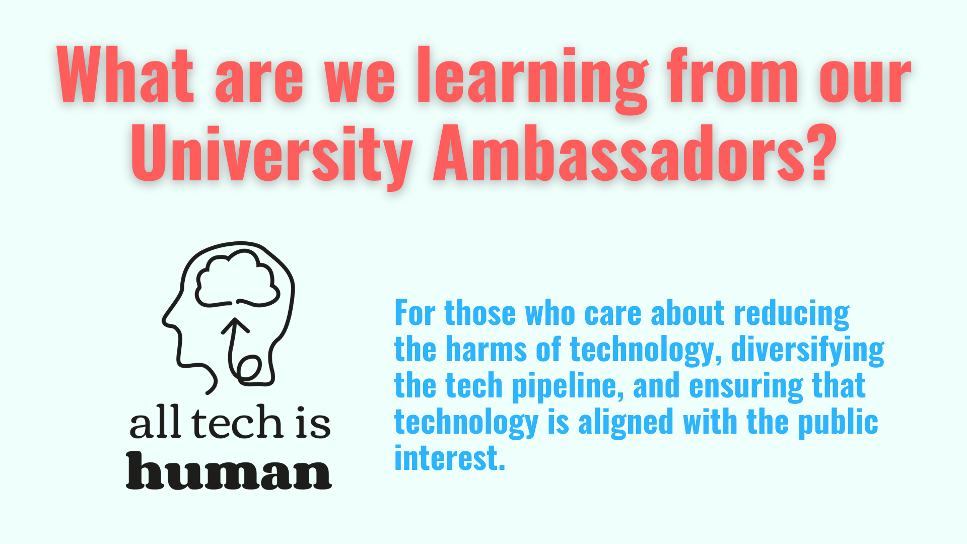 What are we learning from our University Ambassadors?