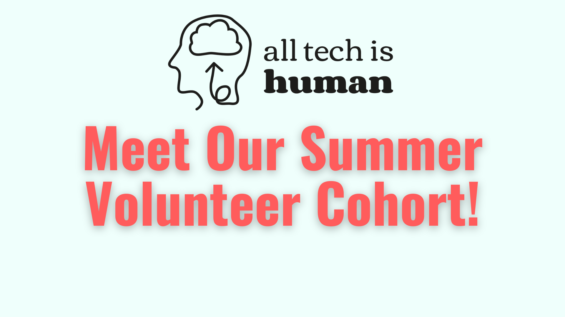 Meet Our Summer Volunteer Cohort!